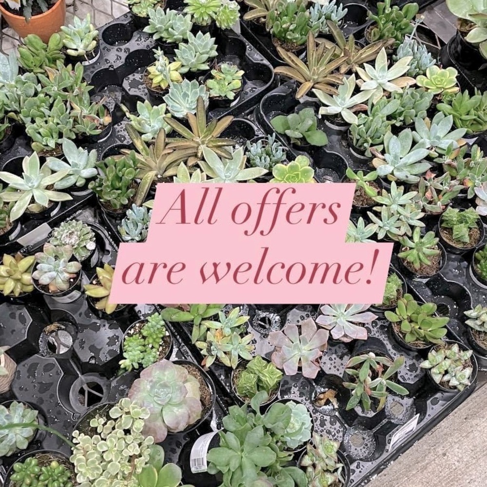 All offers are welcome here!